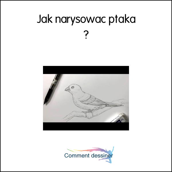 Jak narysować ptaka